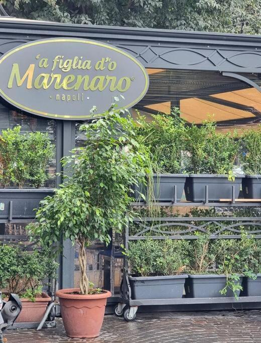 Casa Comoda E In Quartiere Storico Di Vakantiehuis Napels